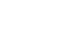 Mint Security Logo